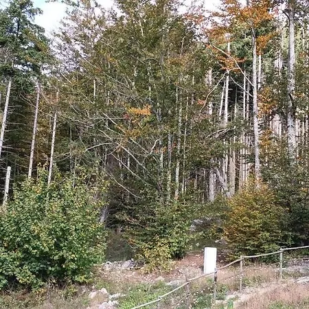 Kuca Za Odmor Sumska Tisina Villa