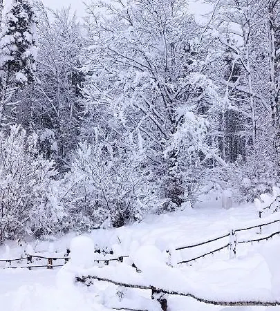 Kuca Za Odmor Sumska Tisina Villa Mrkopalj